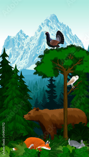 vector mountains woodland green forest trees backlit with bear, red fox, rabbit, barn owl and wood grouse