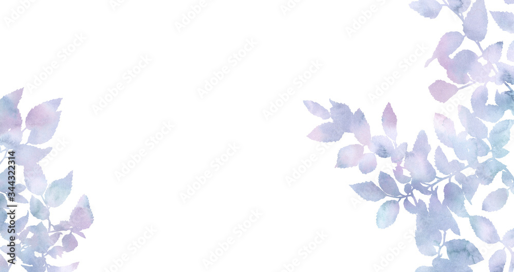 Beautiful branches isolated on a white background. Decorative image for creative design of cards, invitations, banners, websites and posters. Hand painted horizontal picture. Pastel colours.