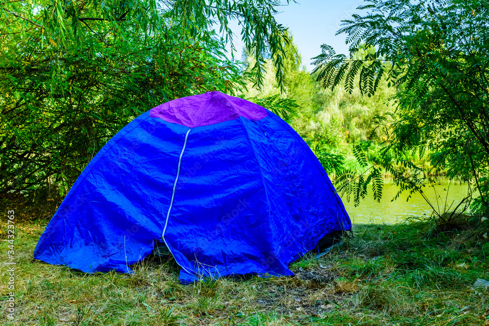 Blue tent in a forest on summer