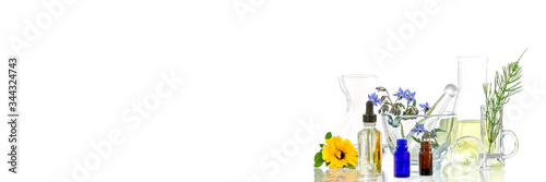 herbal medine Background : Panoramic image of a laboratory Fresh medicinal plant and Flowers ready for experiment on awhite background
