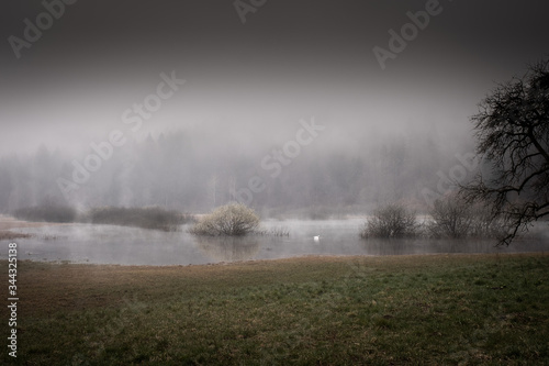 Podpeč Lake on foggy spring morning photo