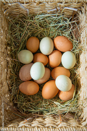 Farm Fresh Eggs in Basket with Hay
