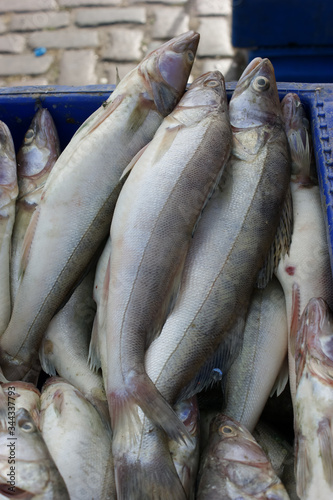 fresh fish at market