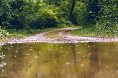 A big puddle on the forest path. photo