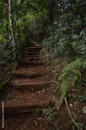 escalera natural