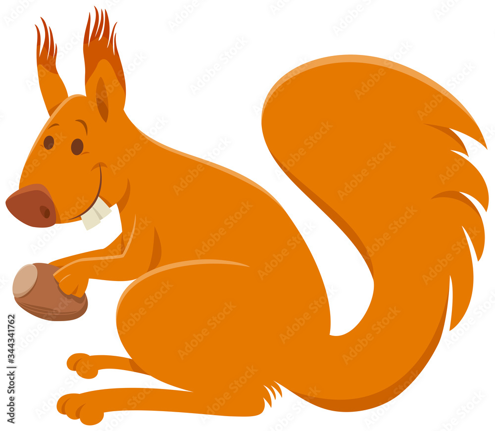 funny squirrel cartoon animal comic character funny squirrel cartoon animal comic character
