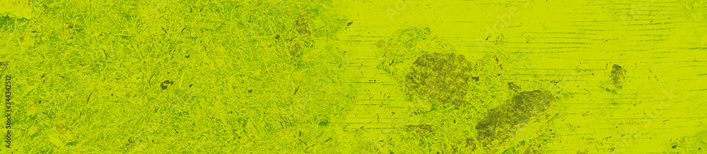 Fototapeta premium abstract lime and green colors background for design