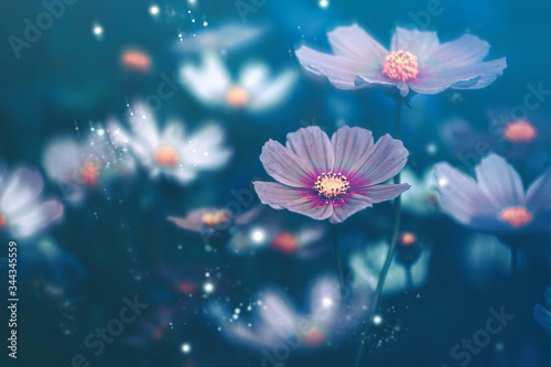 Dramatic flower background  Nature Background