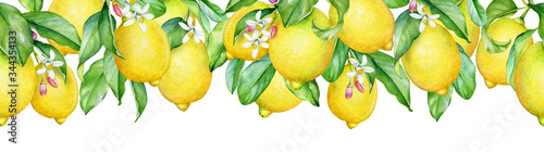 Watercolor illustration of blooming lemon tree branches. Seamless pattern