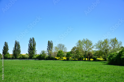 green field and blue sky, Weilbach National Park, Germany photo