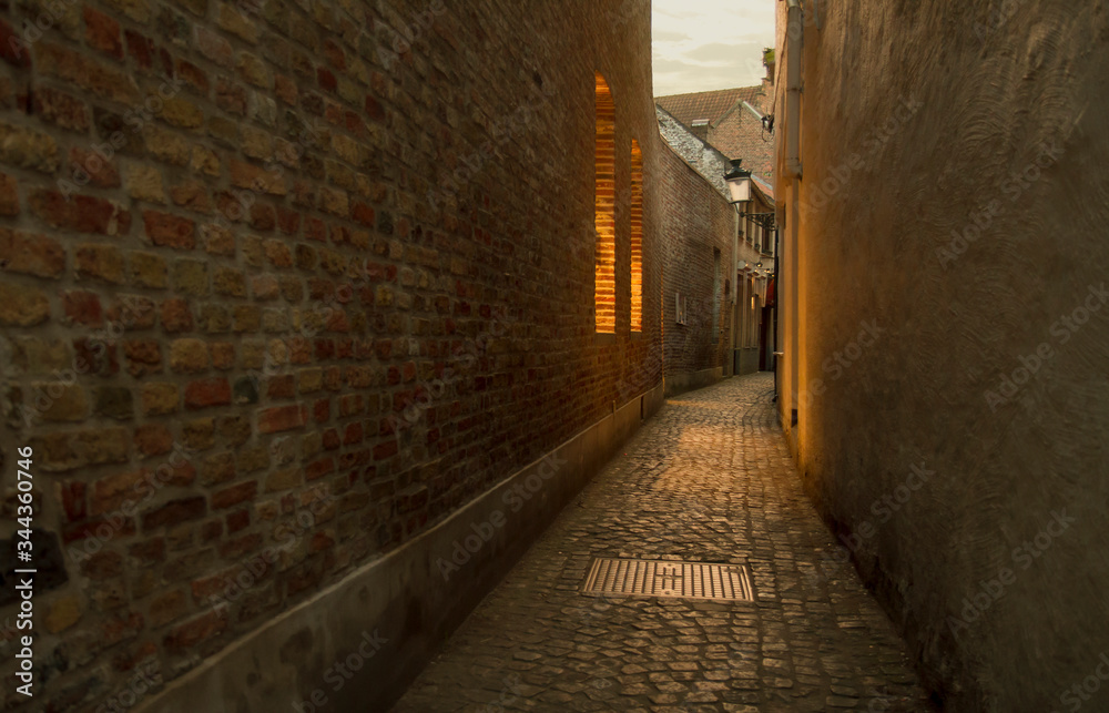 Panoramic view of cobbled street alley in Europe