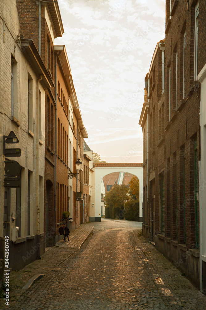 Obraz premium Panoramic view of cobbled street in Europe