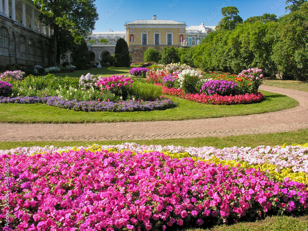 Flowers with vibrant, multiple colors in a lush, structured, formal garden in Russia.