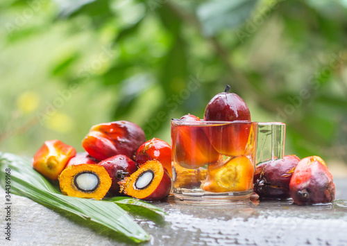 Palm oil from the garden is extracted into palm oil products.