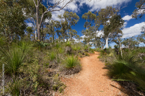 path through the Australian bush at Kalamunda, Western Australia