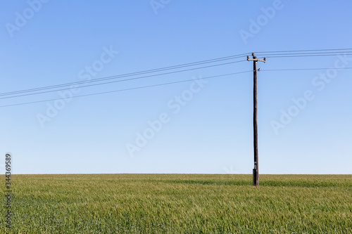 high voltage power lines and pole in a field of green grass with blue sky background © Milbsie