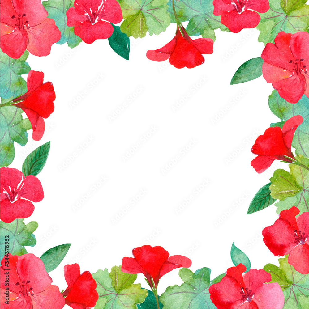 Watercolor illustration, frame flowers, red geranium,greeting card, invitation Watercolor illustration, frame flowers, red geranium,greeting card, invitation