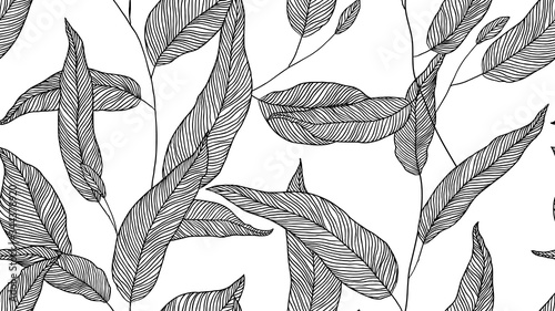 Foliage seamless pattern, eucalyptus leaves line art ink drawing in black on white