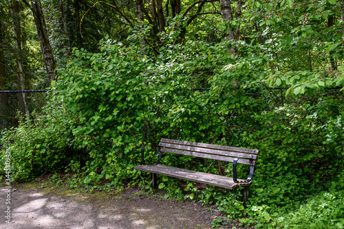 Weathered wooden bench beside a gravel path, backed by overgrown bushes and trees
