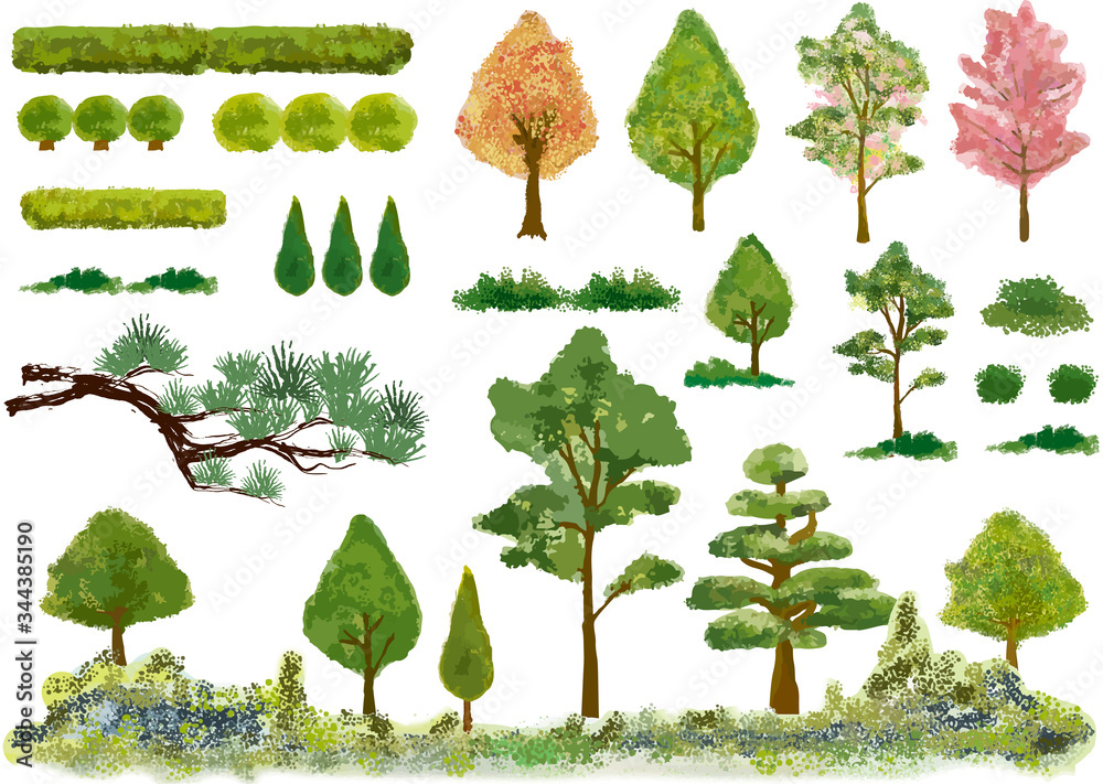 植木 植栽 緑 自然 木 庭園 庭 ガーデニング 挿絵 ベクター 日本庭園 樹木 挿絵 Stock ベクター Adobe Stock