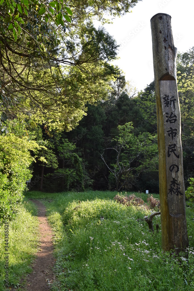 Naklejka premium 新治市民の森