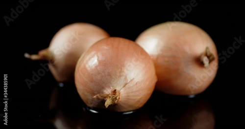 Fresh onion lies on the water.