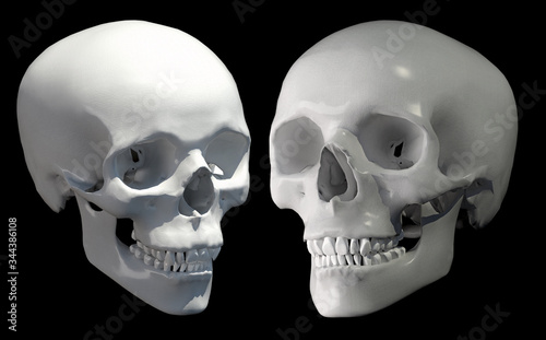 3d view of human skull on isolated black background with clipping path