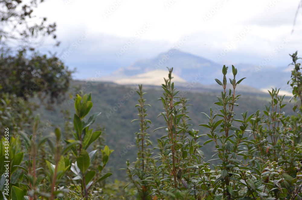 Fototapeta premium Ilinizas, Ecuador.