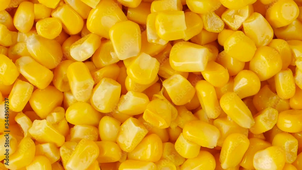 Rotation of corn (background) Rotation of corn (background)
