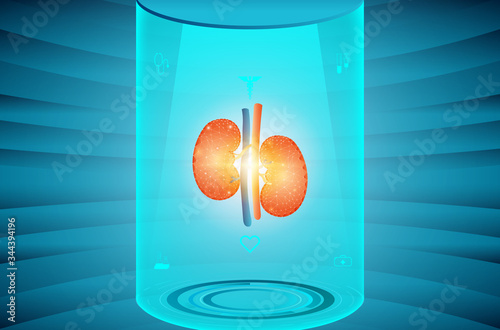 Human kidney and treatment science technology concept. Future science technology abstract background. A concept hospital for wallpaper and web.
