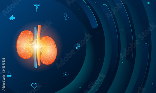 Human kidney and treatment science technology concept. Future science technology abstract background. A concept hospital for wallpaper and web.