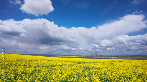Yellow field of flowering rape and blue sky with clouds. Natural landscape background © silentgos