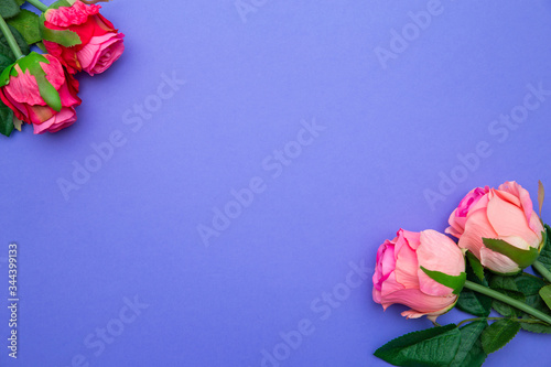 Rose flowers on blue purple color backdrop. Floral pattern. Copy space for text. Banner or template. View from above, flat lay. Flower background.