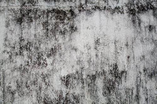 Background of textural black and white wall in a tropical country after rains. © Oleg