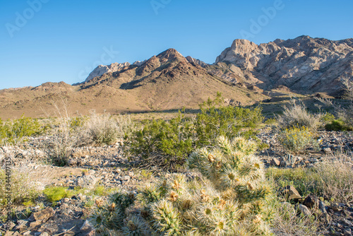 Obraz na płótnie Mojave Nation Park at the Marble Mountains, the Cadiz land company is trying to take water from this federally owned land