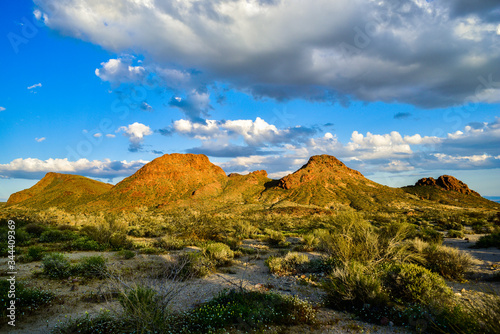 Desert landscape in the Mojave Desert near highway 40. 