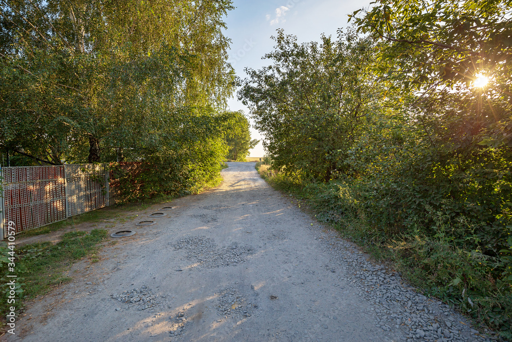 Obraz premium The empty country road along the farm gardens on a clear summer morning. Scenic rural landscape.
