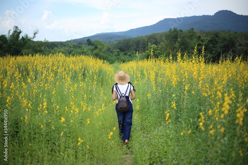 A woman standing in the crotalaria juncea field in Rayong, Thailand