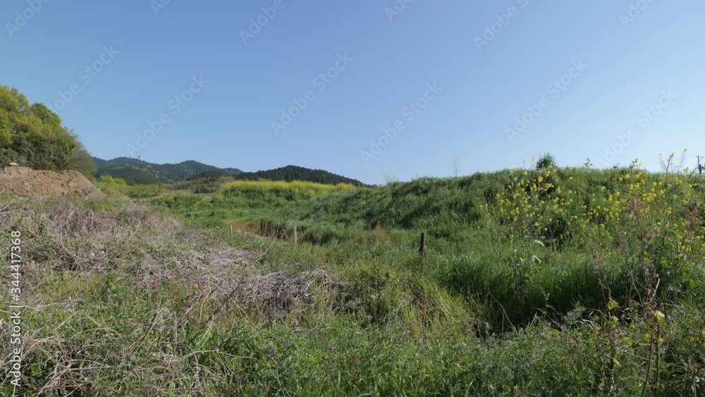 Grasslandscapes of the Japanese countryside in spring Grasslandscapes of the Japanese countryside in spring