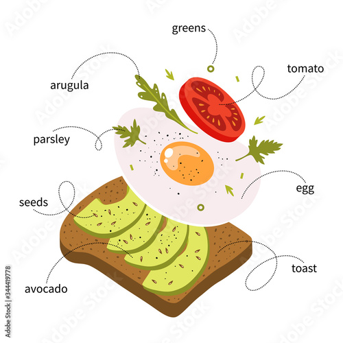 Avocado toast ingredients. Popular breakfast. Hand drawn vector illustration.