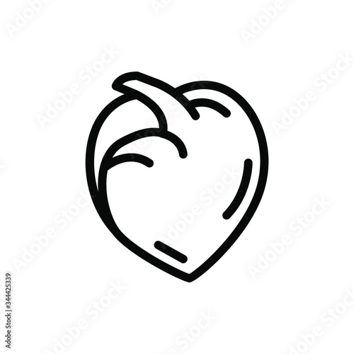 Human heart icon , health medical design best icon organ symbol illustration system button silhouette vector emblem isolated
