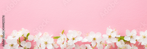 Fresh branches of white cherry blossoms on light pink background. Pastel color. Beautiful flower wide banner. Closeup. Empty place for inspirational text, lovely quote or positive sayings. Top view.