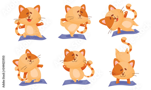 Cartoon Cat with Striped Tail Doing Yoga on Blue Mat Vector Set