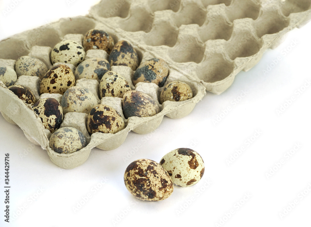 Quail eggs in a carton box. Isolated. White background Quail eggs in a carton box. Isolated. White background
