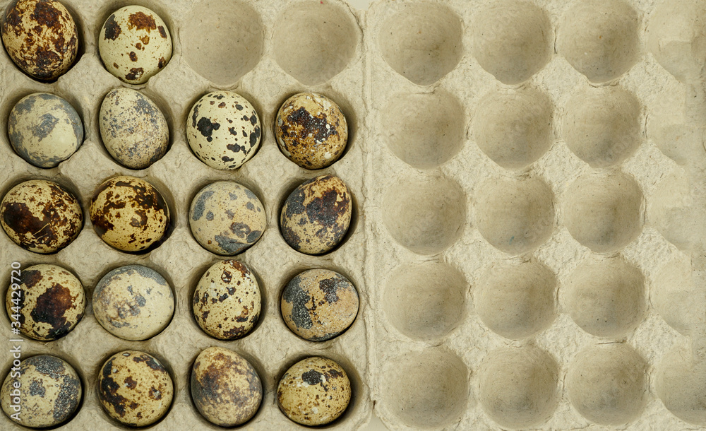 Quail eggs in a carton box. Flat lay Quail eggs in a carton box. Flat lay