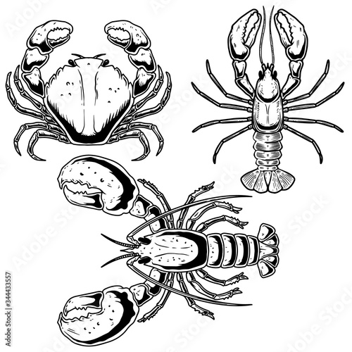 Set of illustrations of crab, lobster, omar in engraving style. Design element for poster, card, banner, logo, emblem, sign, badge. Vector illustration