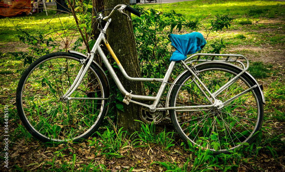 Antigua bicicleta inglesa rodeada de naturaleza