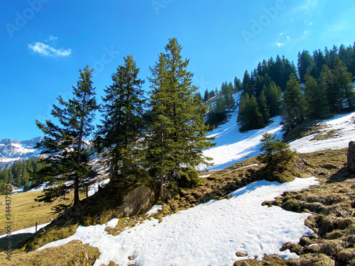 The early spring atmosphere with the last remnants of winter and snow in the Eigental alpine valley, Eigenthal - Canton of Lucerne, Switzerland (Kanton Luzern, Schweiz) photo