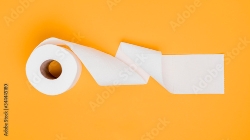 Flat lay of toilet paper roll