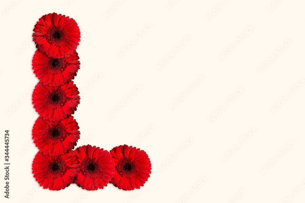 Letter L Daisy flower alphabet on isolated background. Decorative Floral Letter